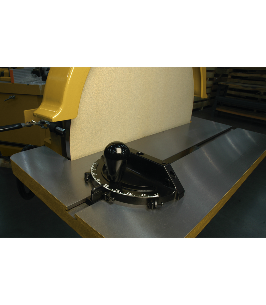 DS-20, 20" Disc Sander, 2HP 1PH 230V